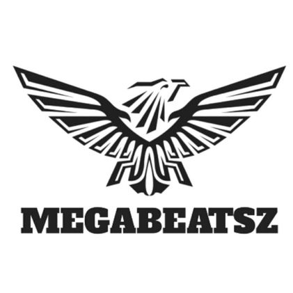 фото исполнителя MegaBeatsZ